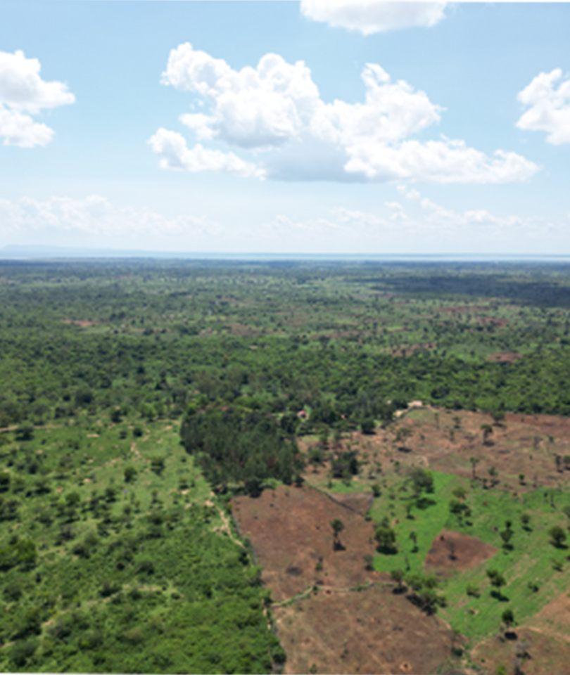 Lango Cultural Artifact